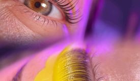 Статья от эксперта: Тренды ламинирования 2025-2026 о которых должен знать каждый мастер